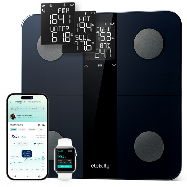 EFS-C651-KUS Smart Fitness Scale - dark blue - EFS-C651-KUS Smart Fitness Scale - dark blue