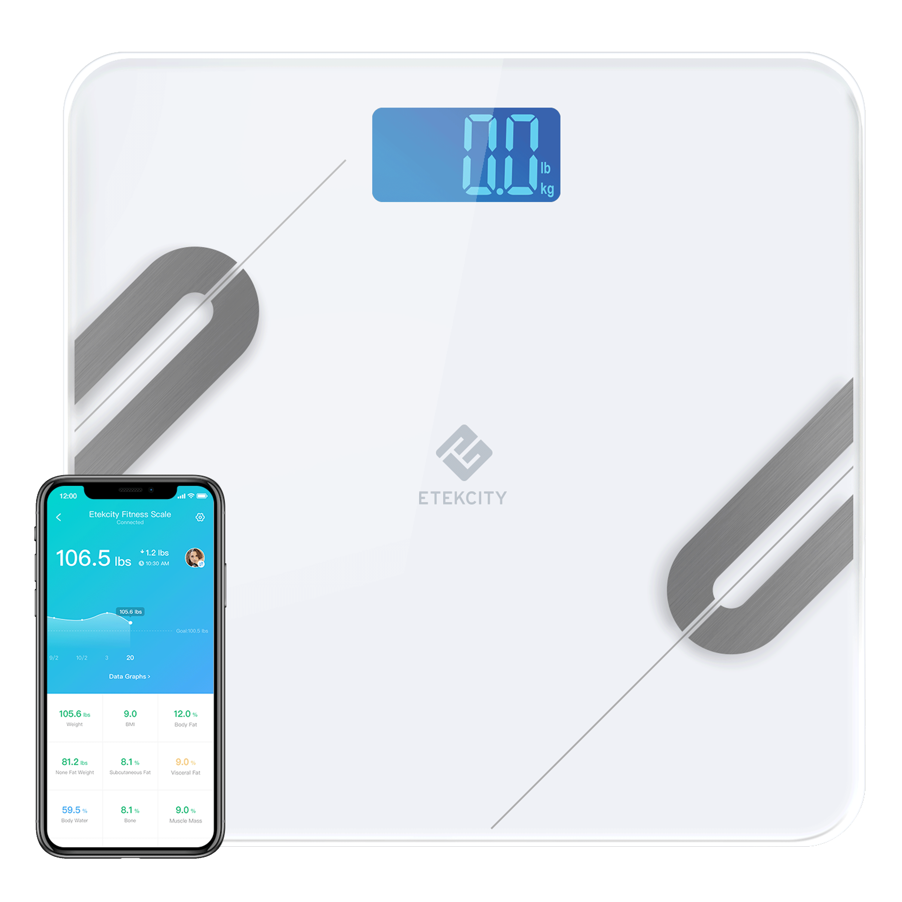 Etekcity Smart Digital Bathroom Scale, Scales for Body Weight and Fat,  Wellness Bluetooth Health Monitor with SmartApps, Large LED Display, 12  Data